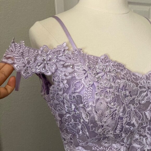 Elegant Lavender Lace Gown - Picture 8 of 11